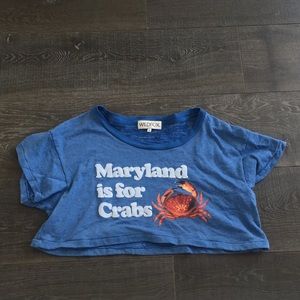 wildfox cropped tee